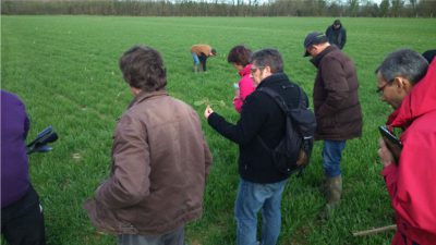 Formation à la reconnaissance des adventices pour les agriculteurs en MAEC réduction de produits phytosanitaires. Mars 2018.