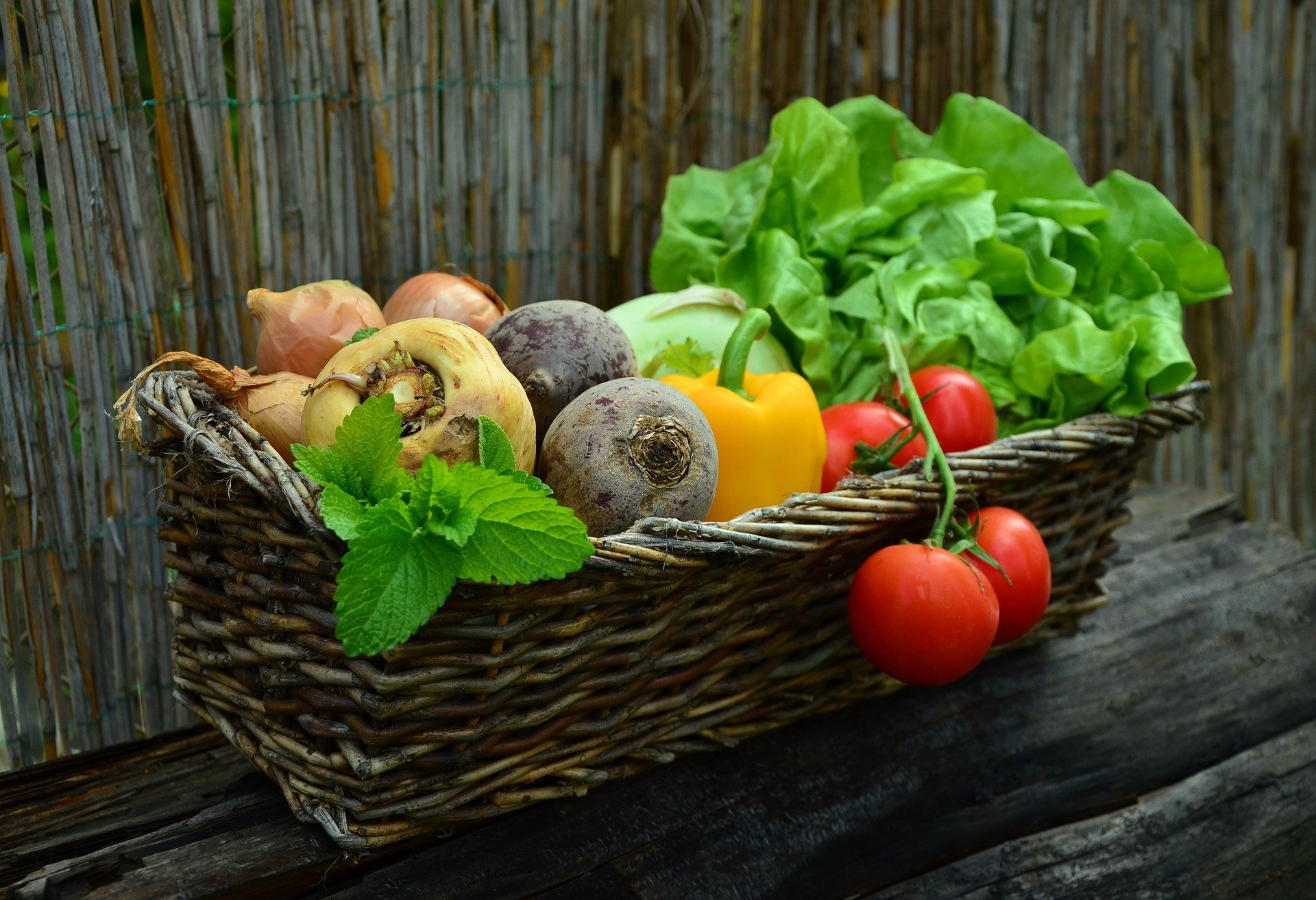 Lancement du projet alimentaire interterritorial