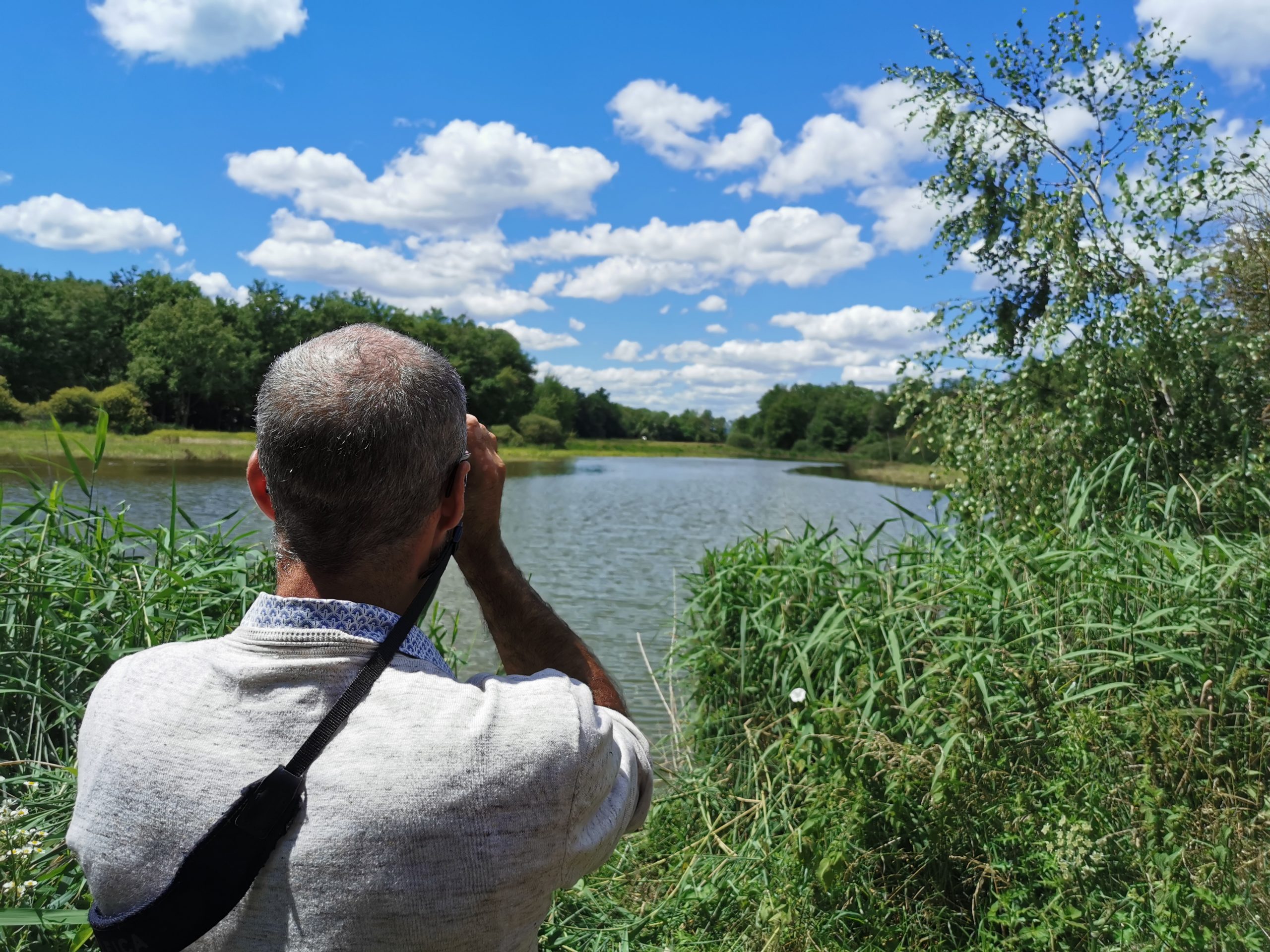 Label Ramsar : une délégation en visite dans la Dombes